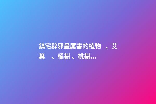 鎮宅辟邪最厲害的植物，艾葉、橘樹、桃樹等